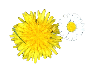 tumblr_p5d058ID6R1tljlp8o1_640